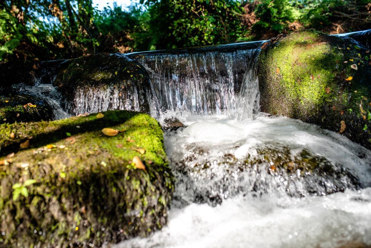 Quinta De Vila Nova - Agroturismo Monção Zewnętrze zdjęcie