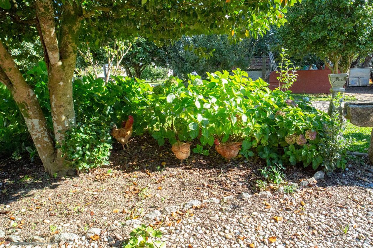 Quinta De Vila Nova - Agroturismo Monção Zewnętrze zdjęcie
